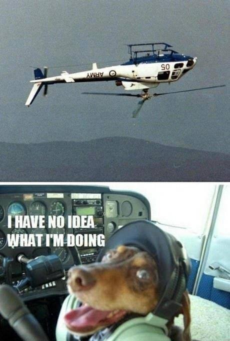 Pilot